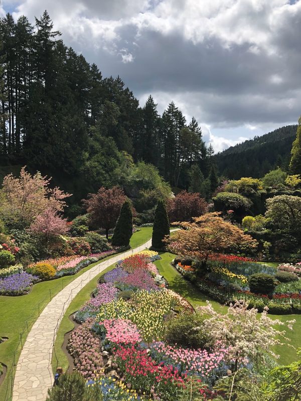 カナダ「2019 カナダ」の写真：バンクーバー 1人旅