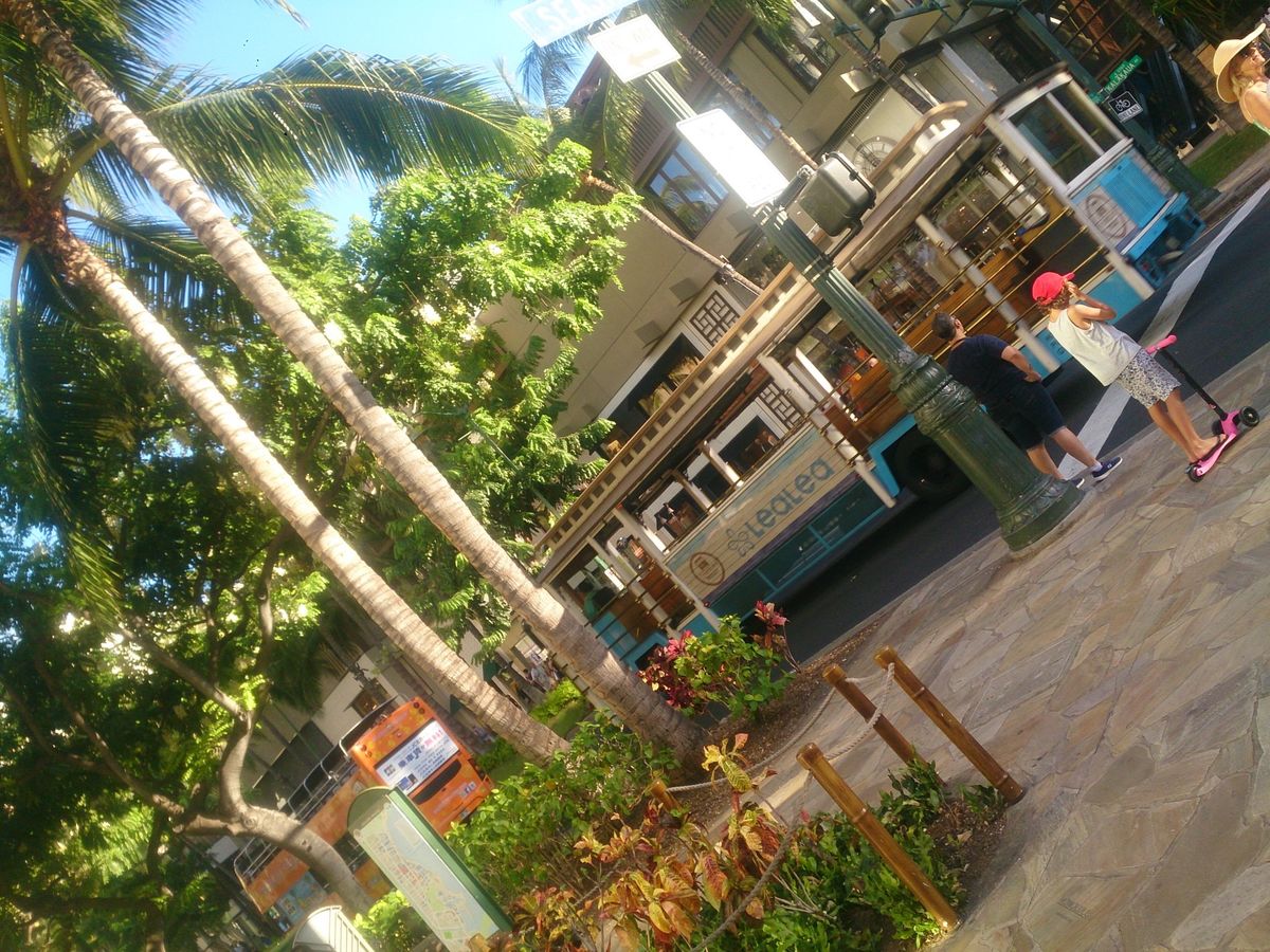 家族4人で♡Hawaii
BEACHにPoolにZOOに楽しい事がいっぱい！！