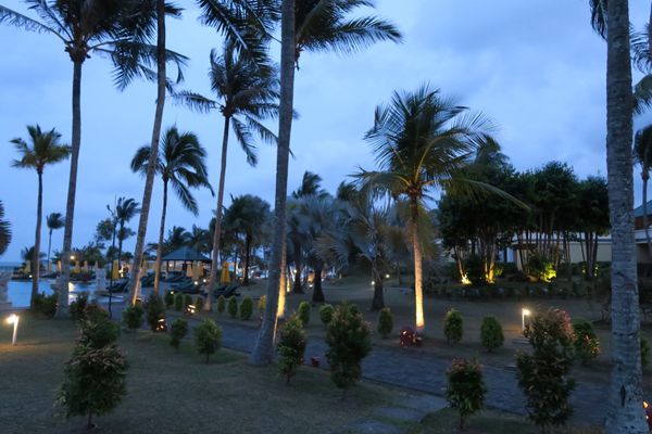 インドネシア「2019【インドネシア】」の写真