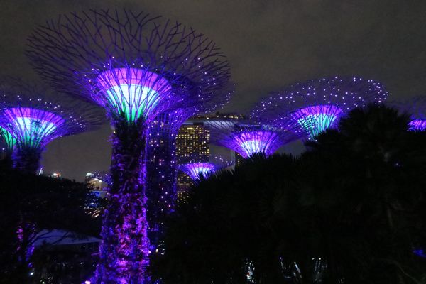 シンガポール「2019【シンガポール】」の写真