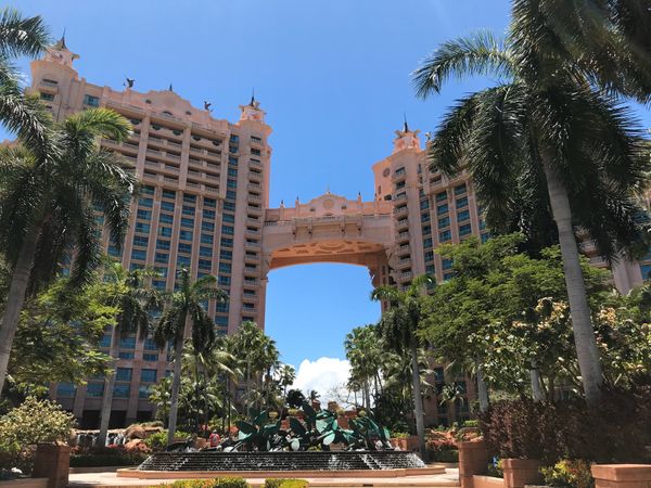 アメリカ(米国)・ディズニーワールド「SpringTrip2019」の写真