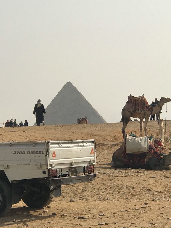 エジプト「エジプト」の写真