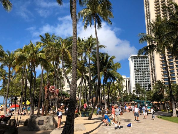 アメリカ(米国)・ホノルル市「旅行：ホノルル」の写真