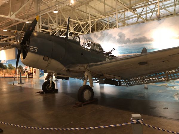 アメリカ(米国)・ホノルル市「旅行：ホノルル」の写真