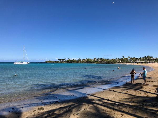 アメリカ(米国)・ハワイ島「ハワイ島旅行」の写真