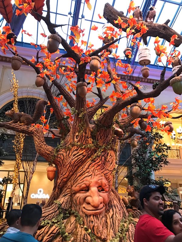 アメリカ(米国)・ラスベガス「ラスベガス旅行」の写真