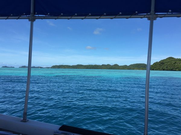 パラオ・コロール島「パラオ旅行」の写真