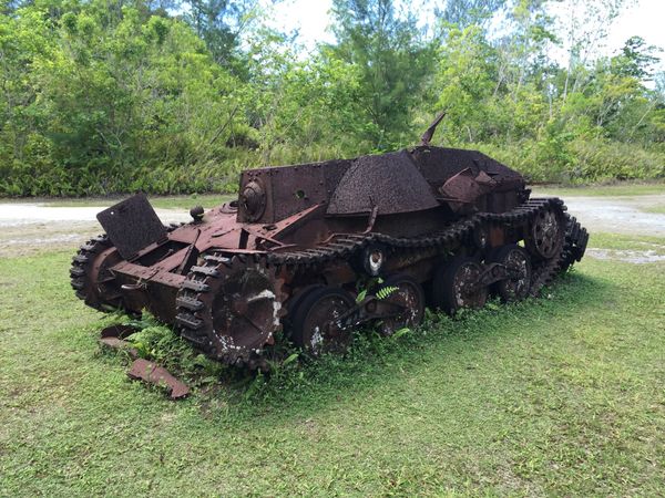 パラオ・コロール島「パラオ旅行」の写真
