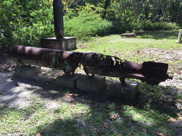 パラオ・コロール島「パラオ旅行」の写真