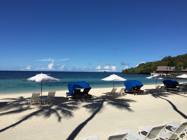 パラオ・コロール島「パラオ旅行」の写真