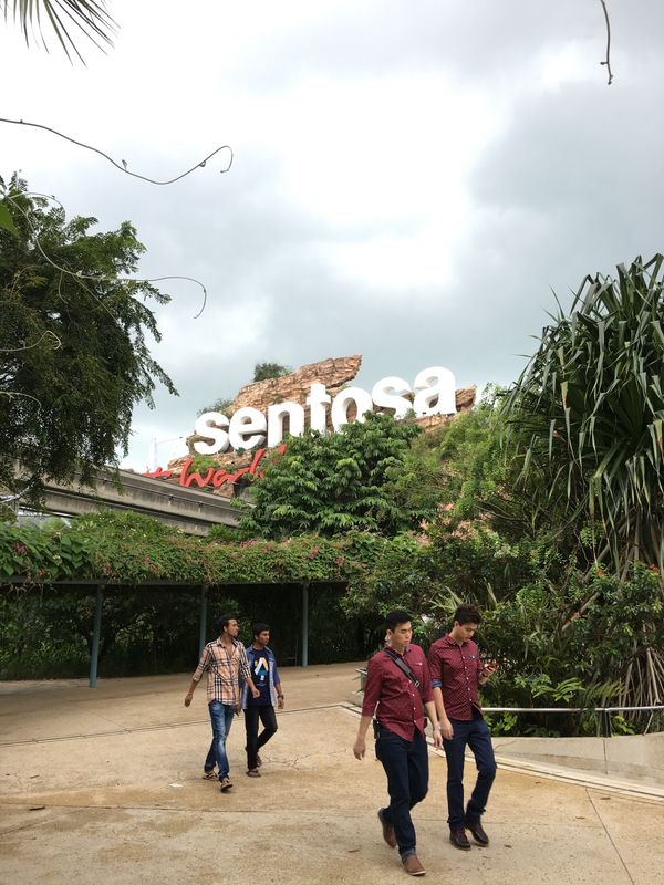 シンガポール「シンガポール」の写真