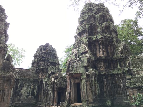 カンボジア「カンボジア」の写真