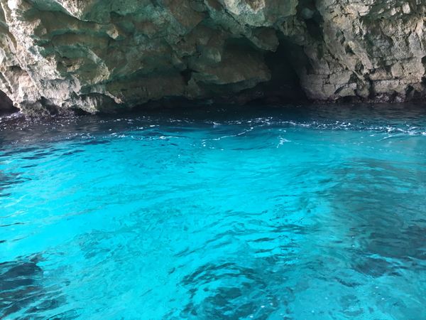 マルタ「マルタ」の写真