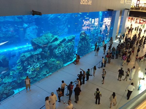 アラブ首長国連邦・ドバイ「ドバイ旅行」の写真