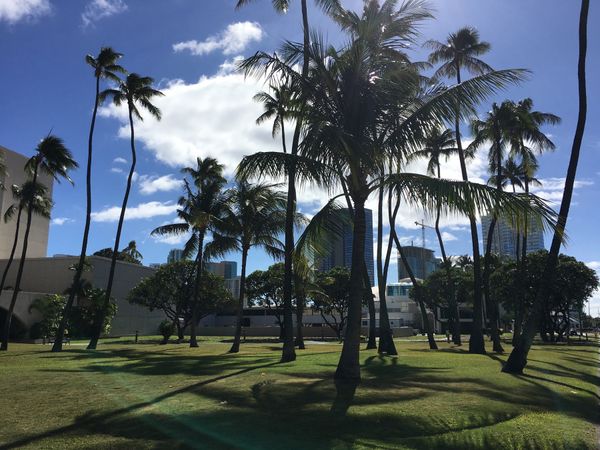 アメリカ(米国)「ハワイ」の写真