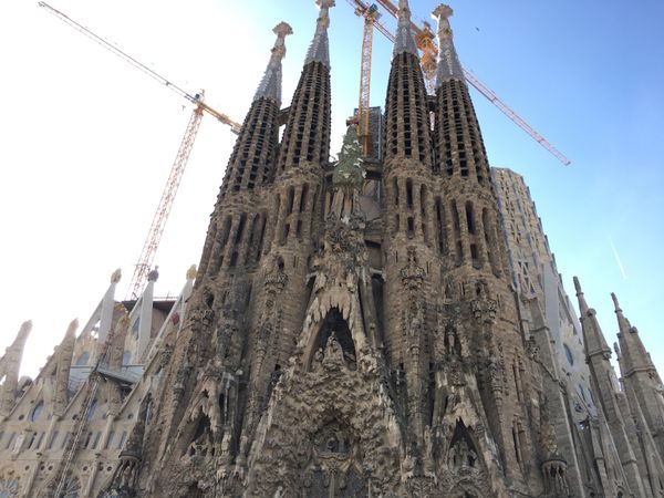 スペイン「スペイン」の写真