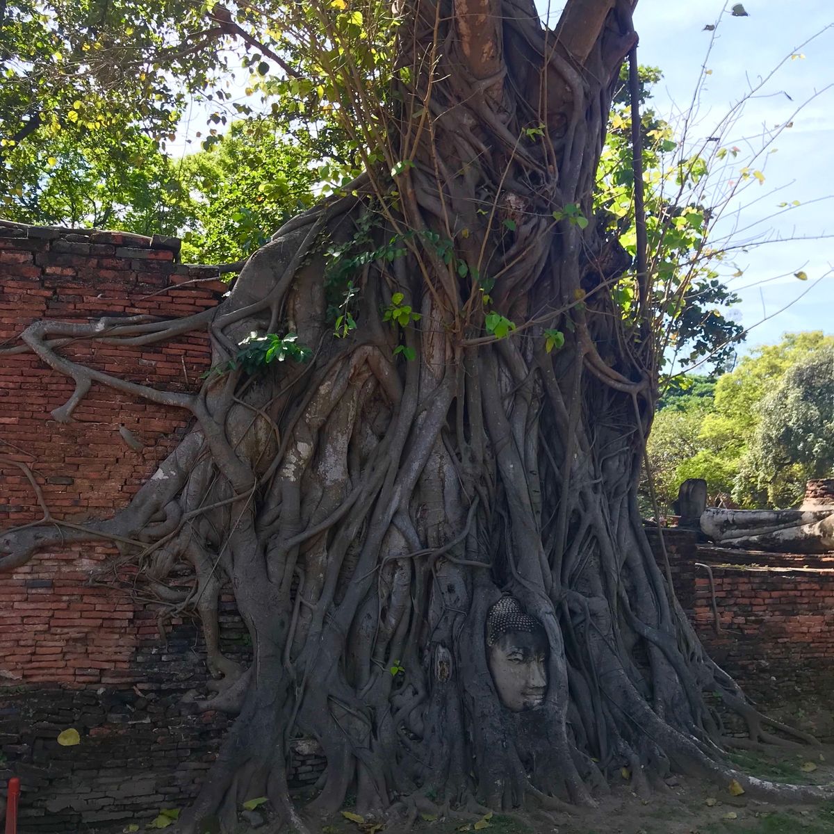 チェンマイ観光
↓
コムローイ参加
↓
アユタヤ観光
↓
バン...