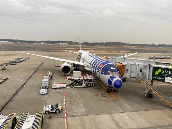 インド・チェンナイ「インド出張」の写真