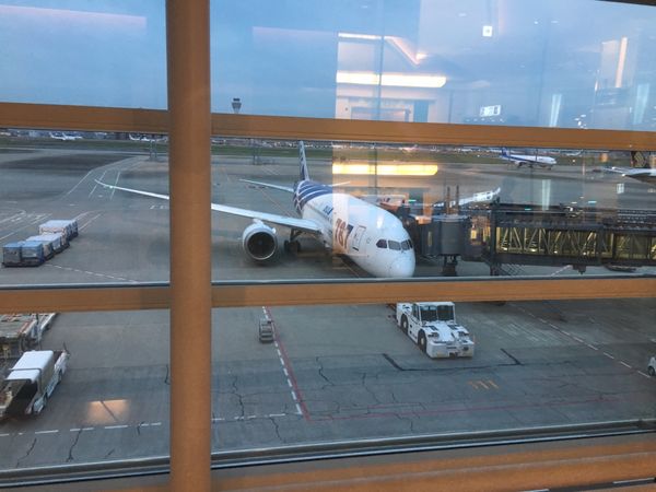 中国・上海「中国出張」の写真