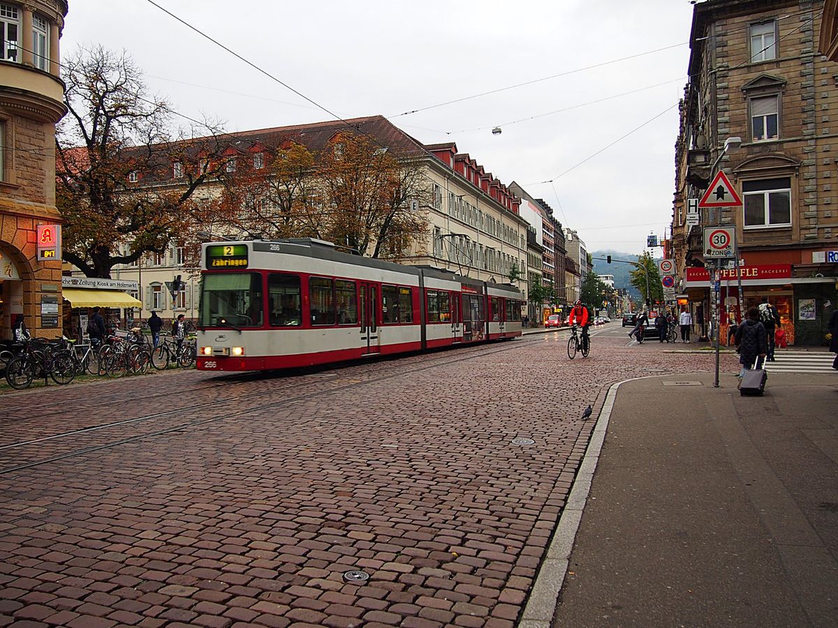 フライブルク
観光名所の多い街ではありませんが、環境活動への取り組みを積極...