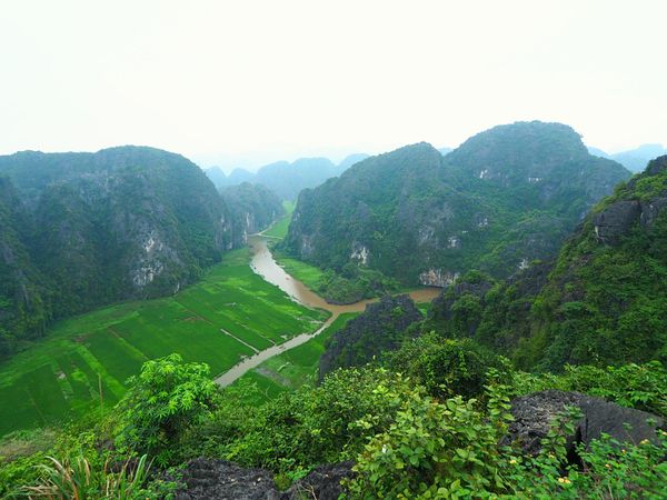 ベトナム・ニンビン「ベトナム ニンビン省タムコックで茶色い川下り」の写真：川下りは景色の変化も大きく飽きさせません...
