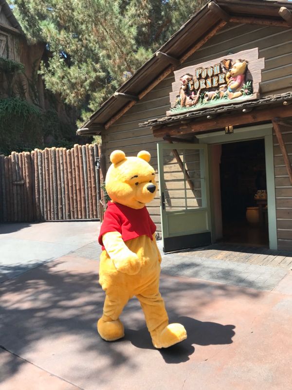 アメリカ(米国)・ロサンゼルス「アメリカ・ロサンゼルス」の写真：アナハイムのディズニーリゾート。
レンタ...