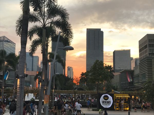 フィリピン・マニラ「フィリピン」の写真：マニラ