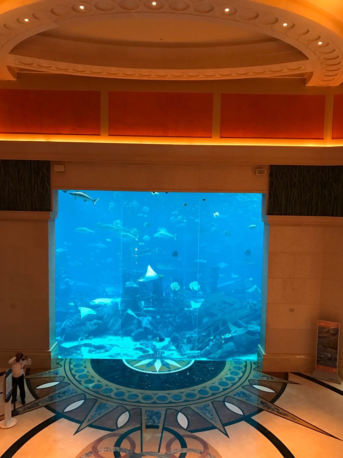 ドバイ旅。
ホテルアトランティスに泊まり、プールや町や砂漠を楽しんだ。お天...