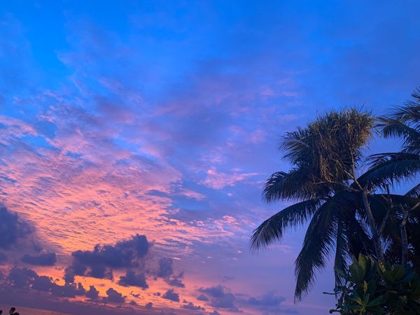 タイ・プーケット「2019 July プーケット」の写真