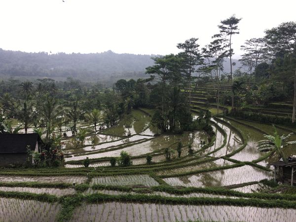 インドネシア・バリ島　「バリ島」の写真