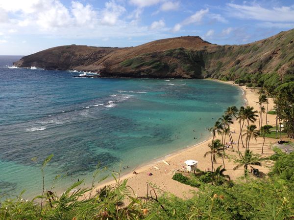 アメリカ(米国)「ハワイ」の写真