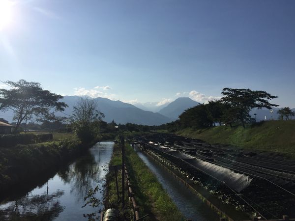 日本「松本 上高地」の写真