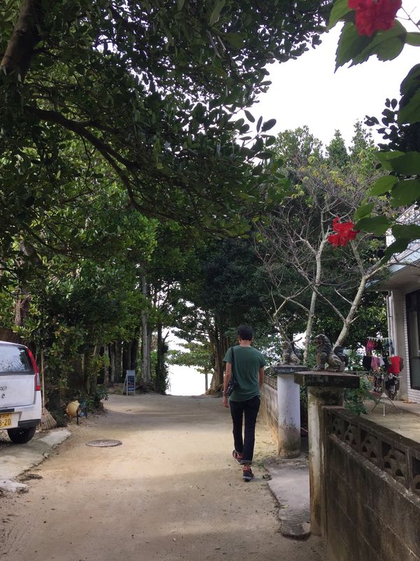 日本・沖縄「沖縄」の写真