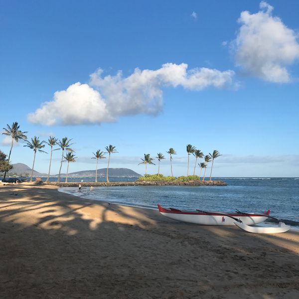 アメリカ(米国)「ハワイ」の写真