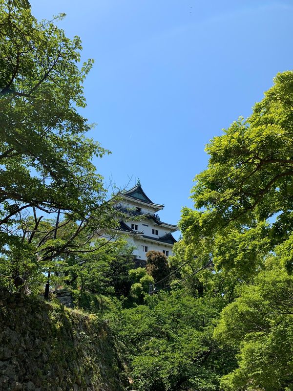 日本「和歌山」の写真
