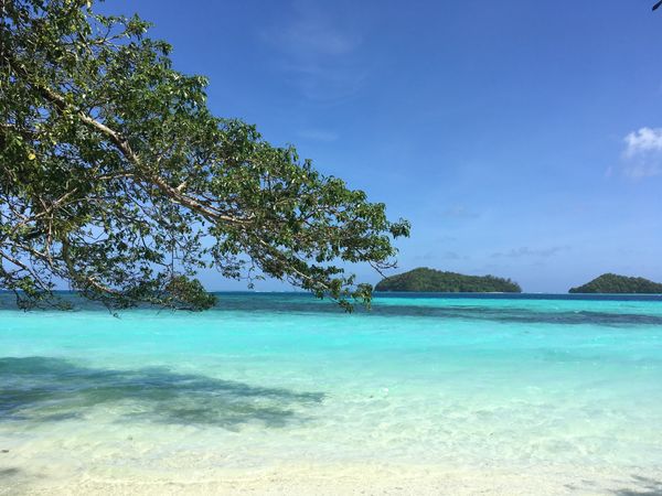 パラオ「I❤️PALAU」の写真：海が最高！
適度に田舎。