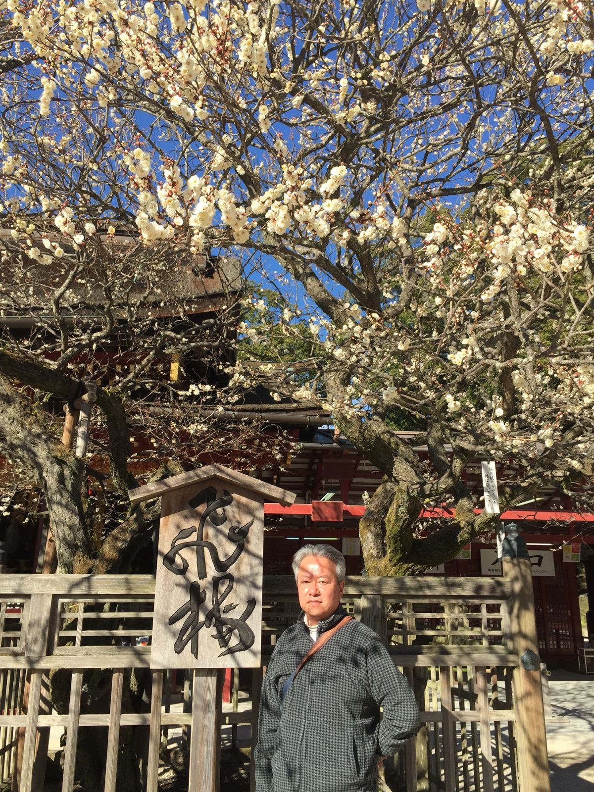 静岡→福岡→長崎ハウステンボス→佐賀県草場美術館→太宰府天満宮→福岡→静岡...