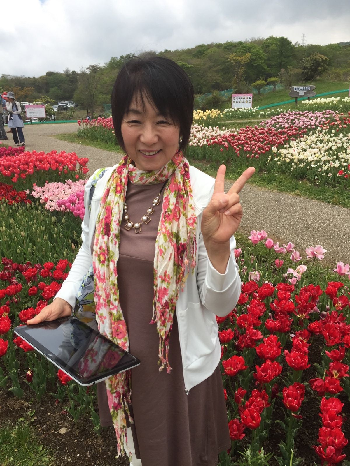 標高が高いので、GWにチューリップ🌷