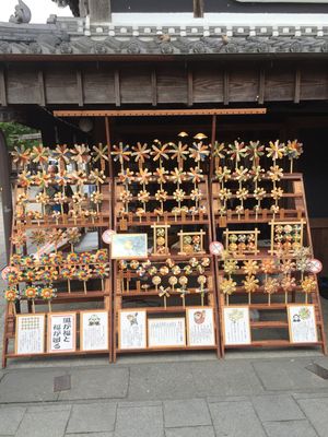 やはり空気が違う。伊勢神宮の境内に入ると、気が引き締まる⁉️