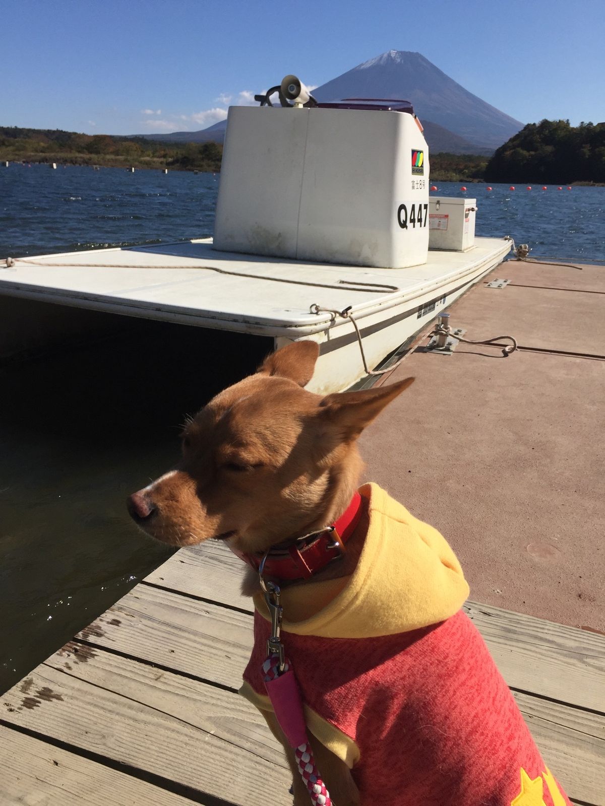 毎年同じ場所で撮影しています。