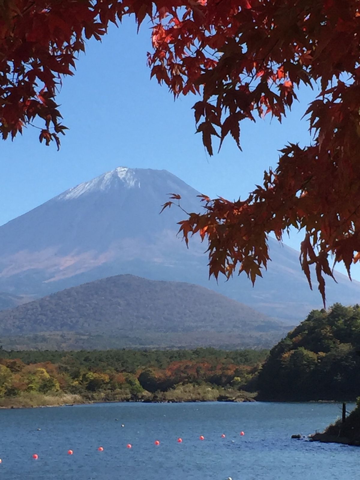 毎年同じ場所で撮影しています。