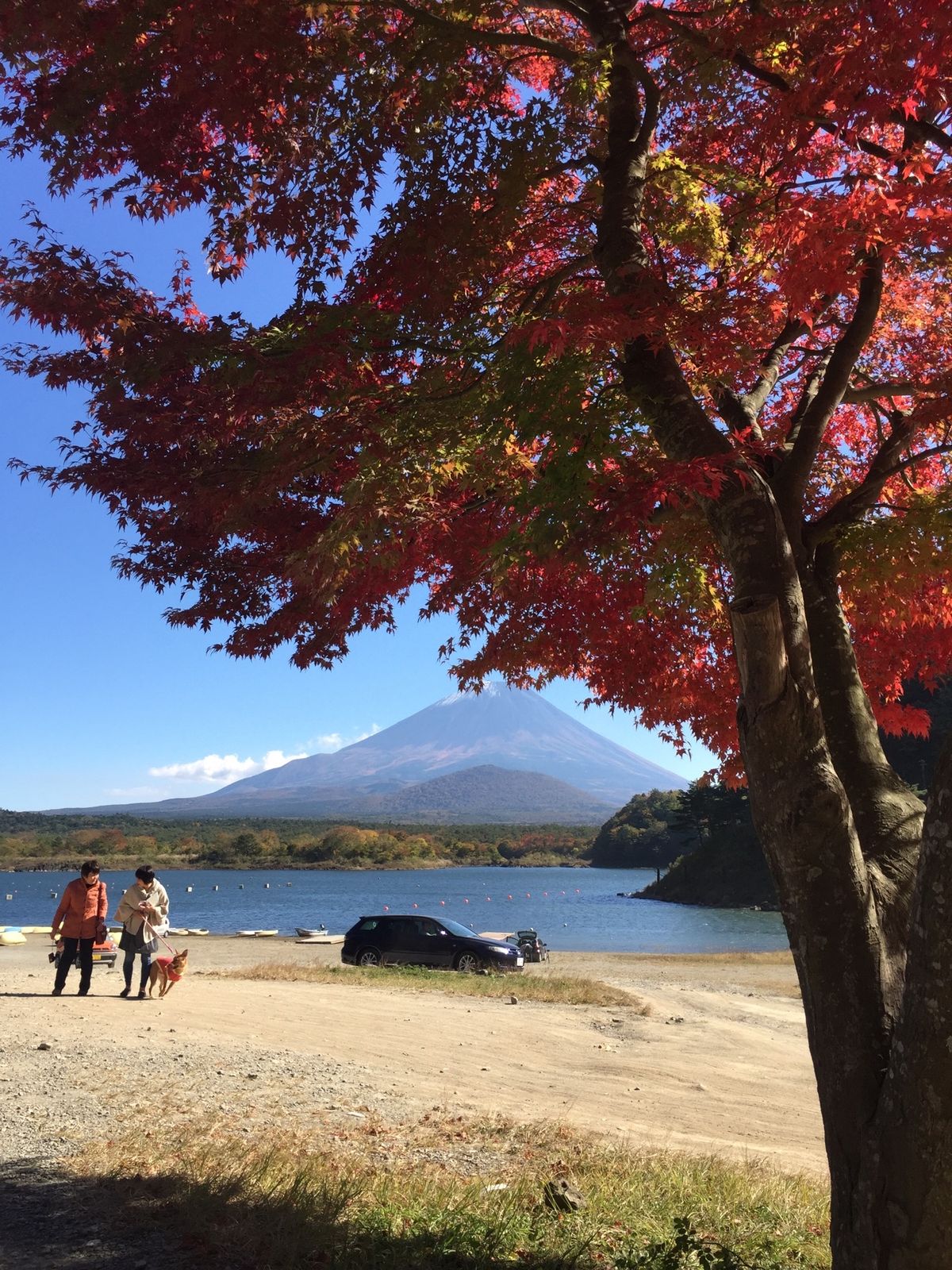 毎年同じ場所で撮影しています。