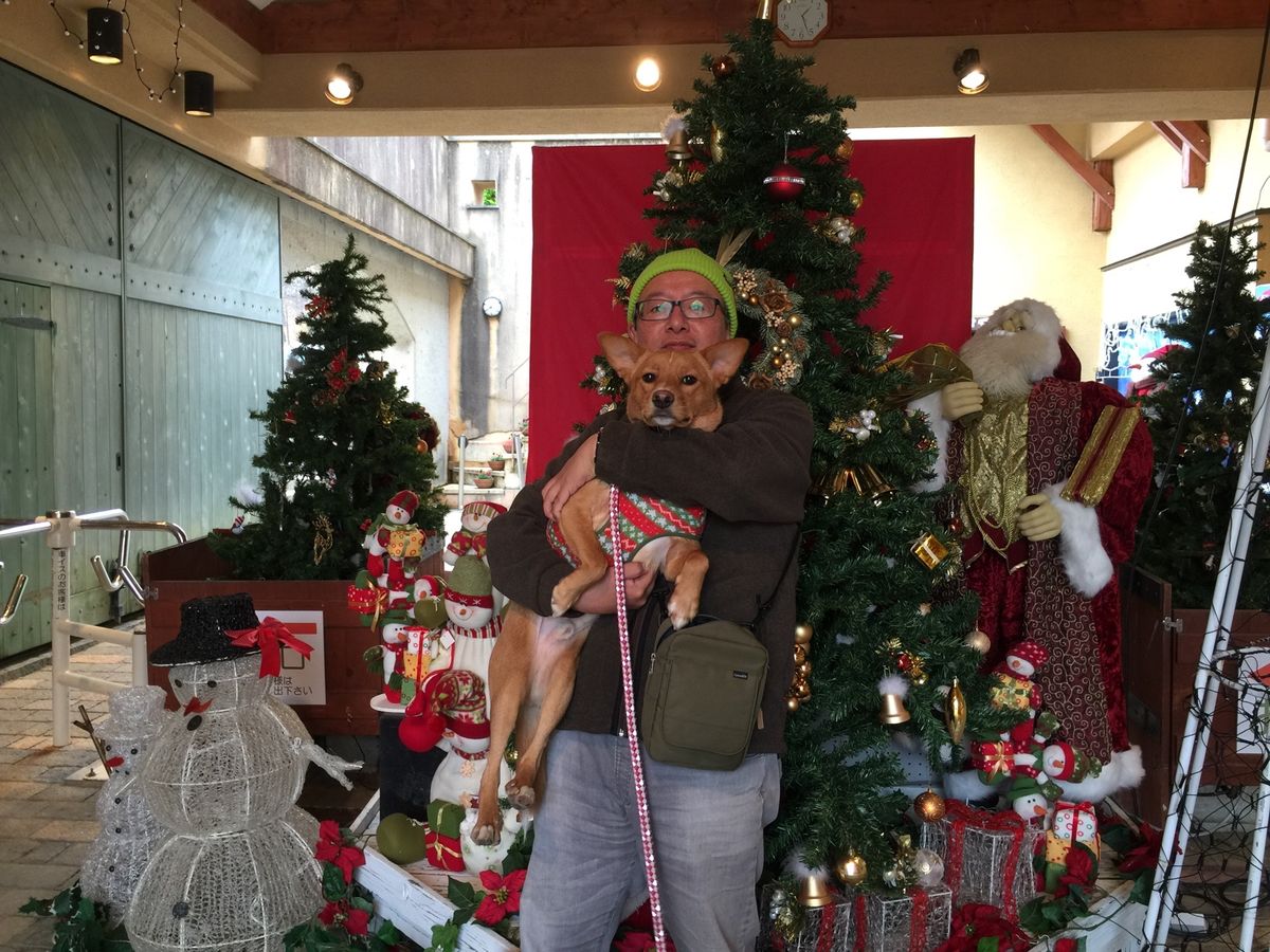 山梨の定番コース