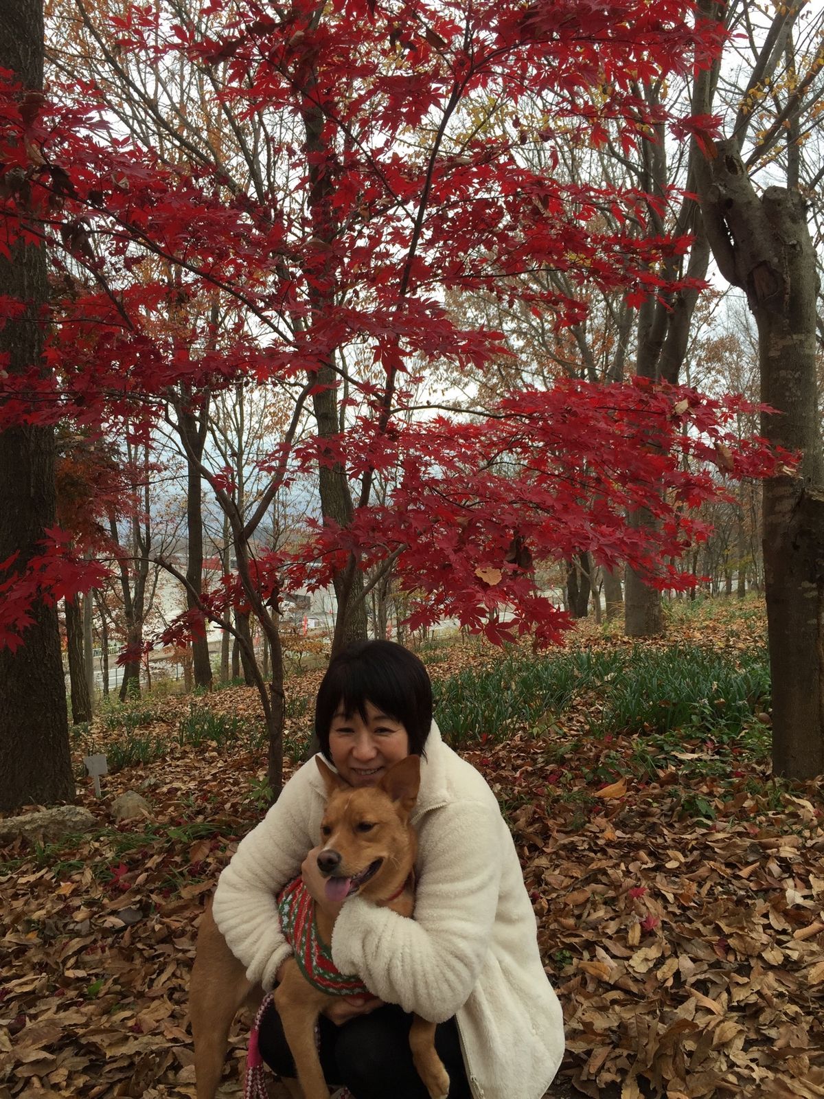 山梨の定番コース