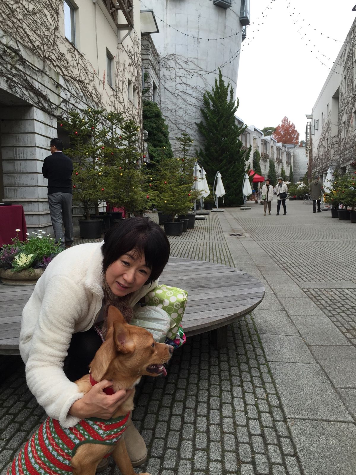 山梨の定番コース