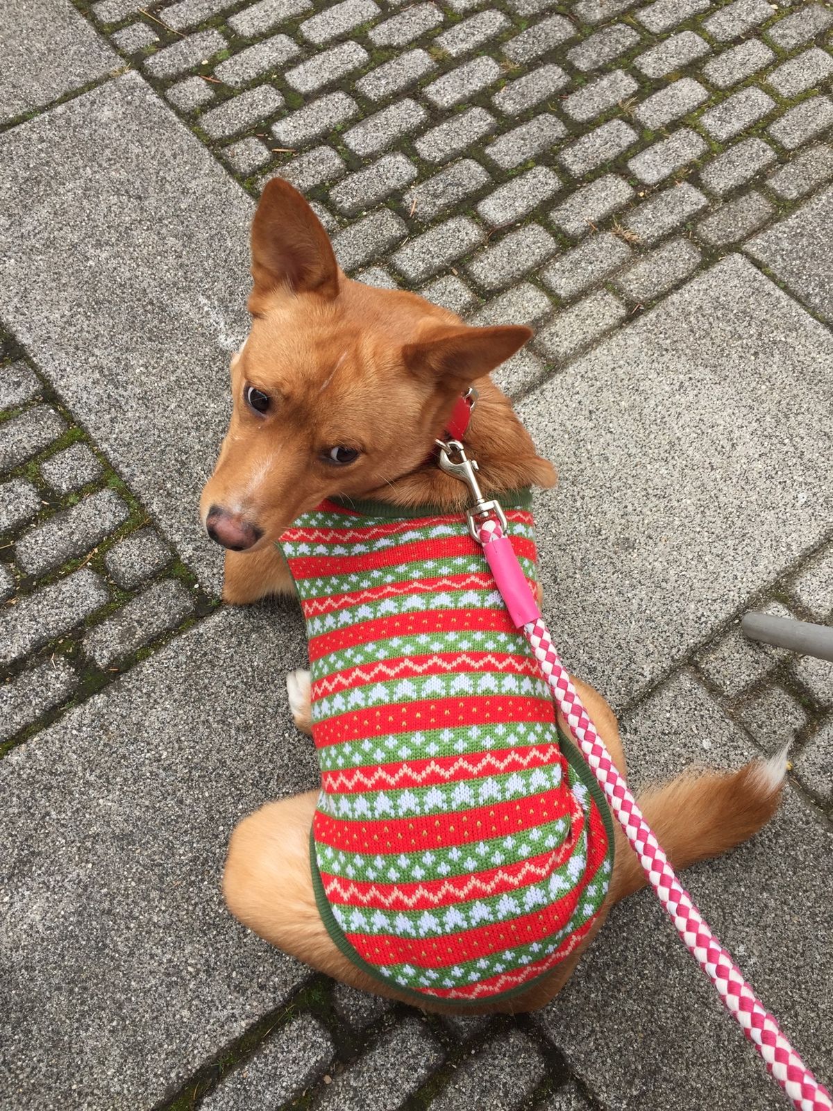 山梨の定番コース