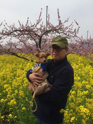 茨城のNPO法人から引き取った、保護犬のハッピー。ビビりなのは、今も変わらない。
