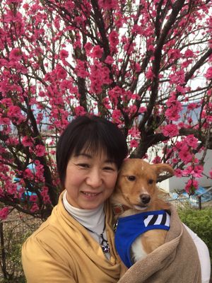 茨城のNPO法人から引き取った、保護犬のハッピー。ビビりなのは、今も変わらない。