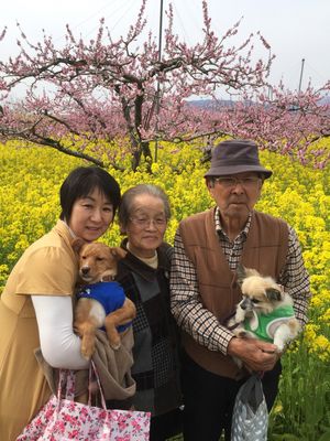 茨城のNPO法人から引き取った、保護犬のハッピー。ビビりなのは、今も変わらない。