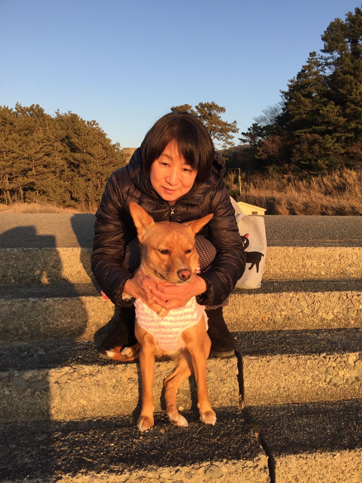 夕陽を浴びて、瞑想する愛犬ハッピー❣️